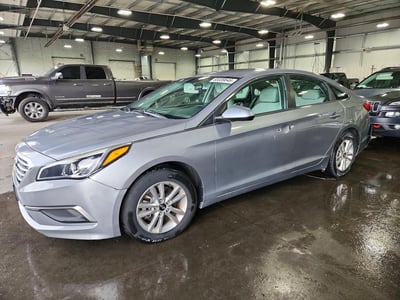 5NPE24AF5GH****** 2016 Hyundai Sonata