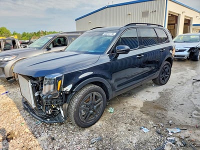 5XYP5DGC8SG****** 2025 Kia Telluride