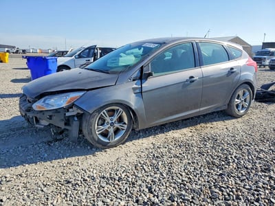 1FADP3K28DL****** 2013 Ford Focus