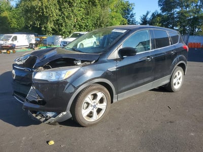 1FMCU0GX8GU****** 2016 Ford Escape