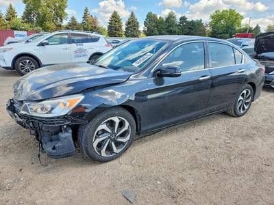 1HGCR2F85HA****** 2017 Honda Accord