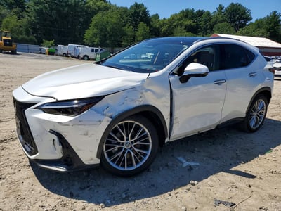 JTJHKCEZXR2****** 2024 Lexus NX 350h