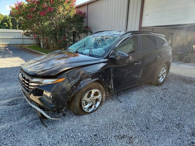 5NMJB3DE9RH****** 2024 Hyundai Tucson