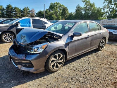 1HGCR2F88HA****** 2017 Honda Accord