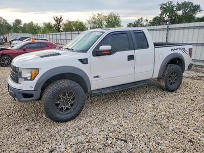 1FTEX1E67AF****** 2010 Ford F-150