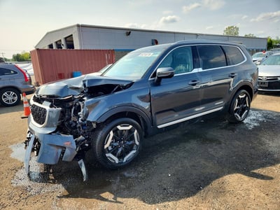 5XYP3DGC7RG****** 2024 Kia Telluride