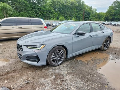 19UUB6F57RA****** 2024 Acura TLX