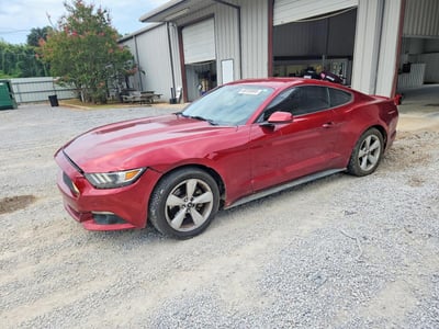 1FA6P8AM8F5****** 2015 Ford Mustang