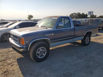 1B7GR14M6HS****** 1987 Dodge Dakota