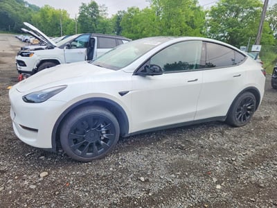 7SAYGDEE7PF****** 2023 Tesla Model Y