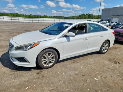5NPE24AF6GH****** 2016 Hyundai Sonata