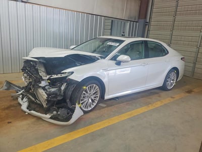 4T1F31AK6LU****** 2020 Toyota Camry