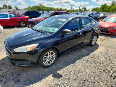 1FADP3F22GL****** 2016 Ford Focus