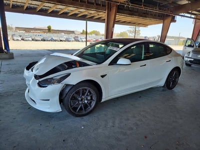 5YJ3E1EA7MF****** 2021 Tesla Model 3