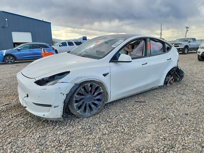 7SAYGDEF1PF****** 2023 Tesla Model Y
