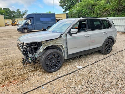 5XYP5DHC0NG****** 2022 Kia Telluride