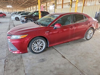 4T1B21HK6KU****** 2019 Toyota Camry