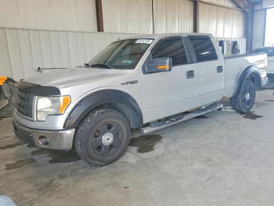 2010 Ford F-150
