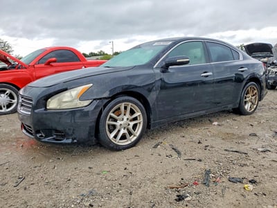 1N4AA51E99C****** 2009 Nissan Maxima