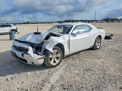 2C3CDZAG0PH****** 2023 Dodge Challenger