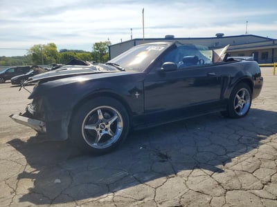 1FAFP4446YF****** 2000 Ford Mustang