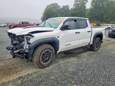 3TYLB5JN1RT****** 2024 Toyota Tacoma