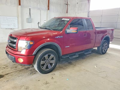 1FTFX1ET9DK****** 2013 Ford F-150
