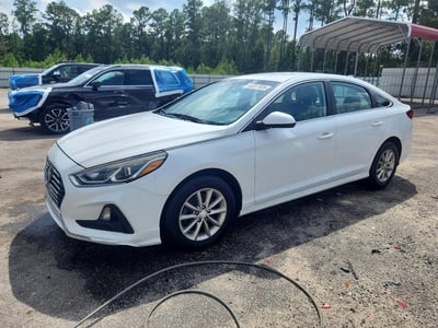 5NPE24AF4KH****** 2019 Hyundai Sonata