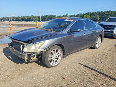2009 Nissan Maxima