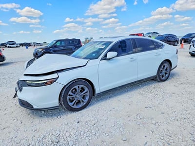 1HGCY1F39RA****** 2024 Honda Accord