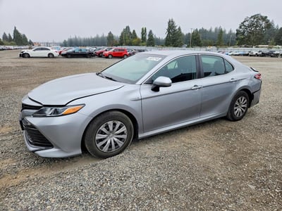 2019 Toyota Camry Hybrid