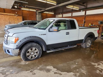 2009 Ford F-150