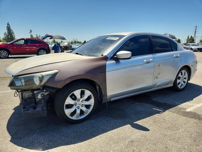 JHMCP26338C****** 2008 Honda Accord
