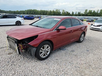 5NPE24AF5GH****** 2016 Hyundai Sonata