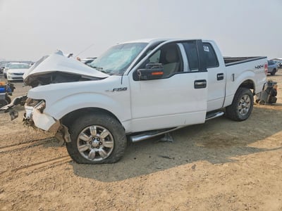 1FTPW14V49F****** 2009 Ford F-150