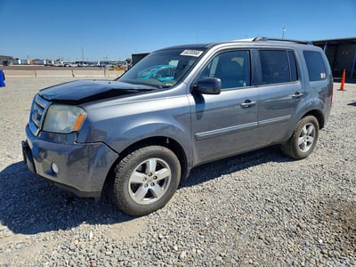 5FNYF4H52BB****** 2011 Honda Pilot