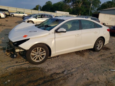 5NPE24AA5FH****** 2015 Hyundai Sonata