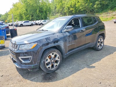 3C4NJDCB5HT****** 2017 Jeep Compass