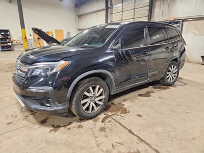 5FNYF5H54KB****** 2019 Honda Pilot