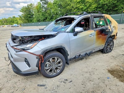 2T3B6RFV9RW****** 2024 Toyota RAV4 Hybrid