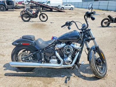 2025 Harley-Davidson Street Bob