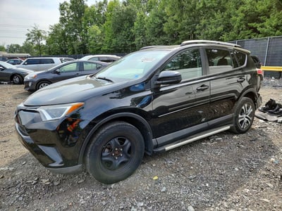 2T3BFREV8HW****** 2017 Toyota RAV4