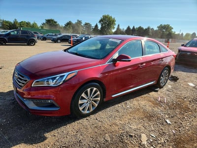 5NPE34AF3GH****** 2016 Hyundai Sonata