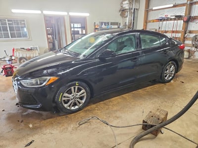 5NPD84LF8HH****** 2017 Hyundai Elantra