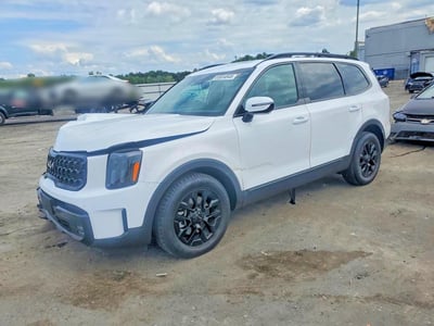 5XYP5DGC6RG****** 2024 Kia Telluride