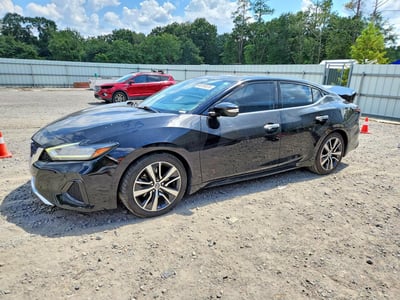 1N4AA6AV6KC****** 2019 Nissan Maxima