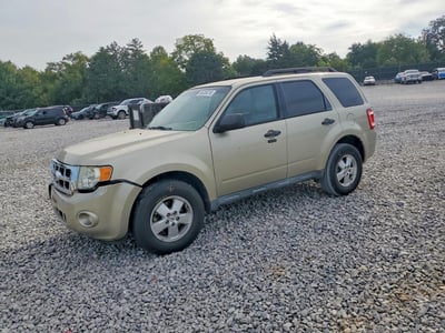 1FMCU0DG0BK****** 2011 Ford Escape