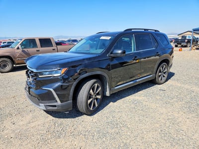 5FNYG1H84RB****** 2024 Honda Pilot