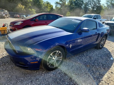 1ZVBP8AMXE5****** 2014 Ford Mustang