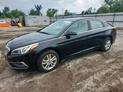 5NPE24AF1GH****** 2016 Hyundai Sonata